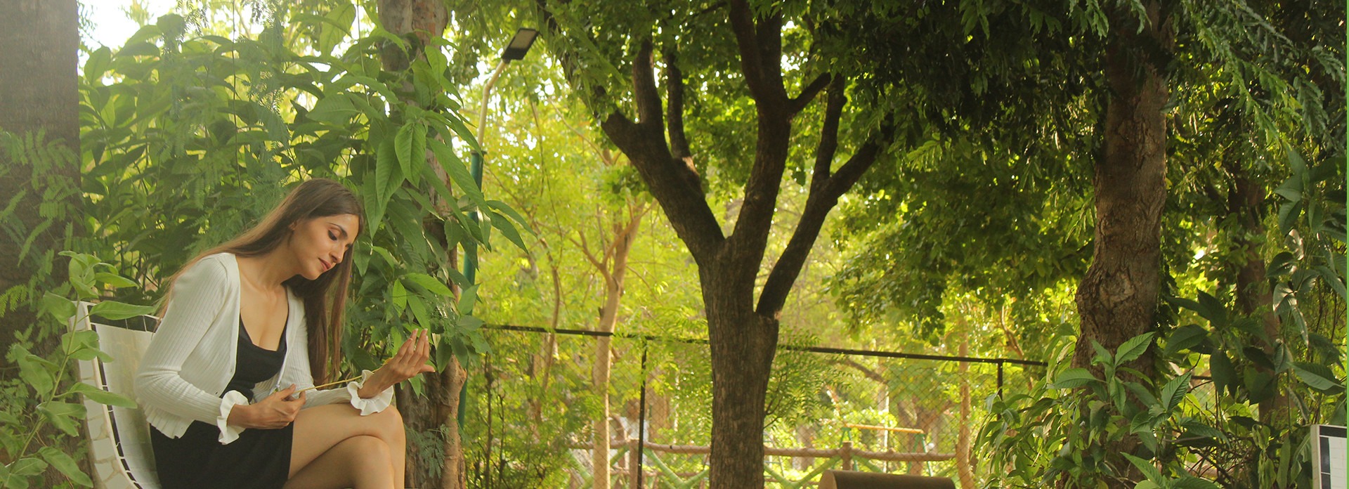 Vision Banner